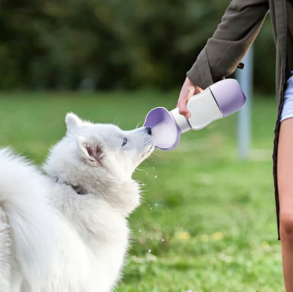 Mini Dog Water Bottle